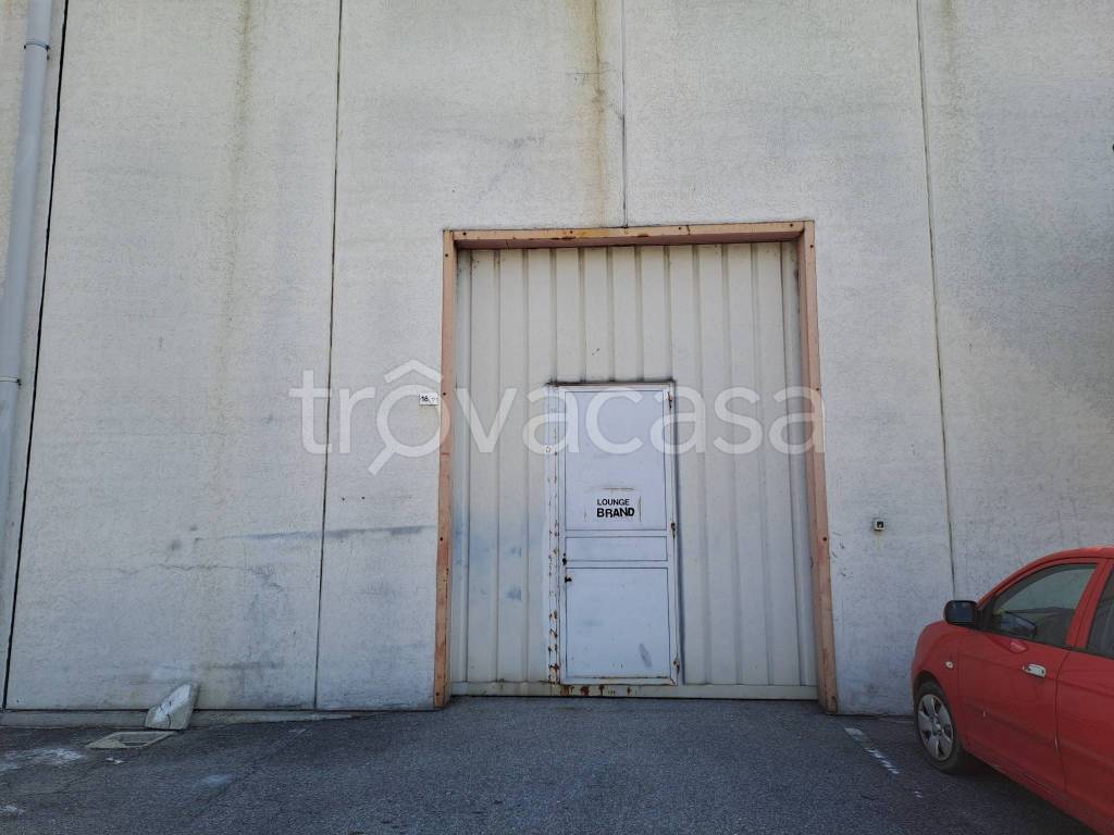 immagine annuncio 10 di 12