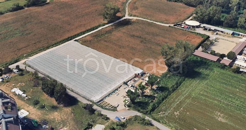 Azienda Agricola in vendita a Muggiò via Gaetano Donizetti, 40