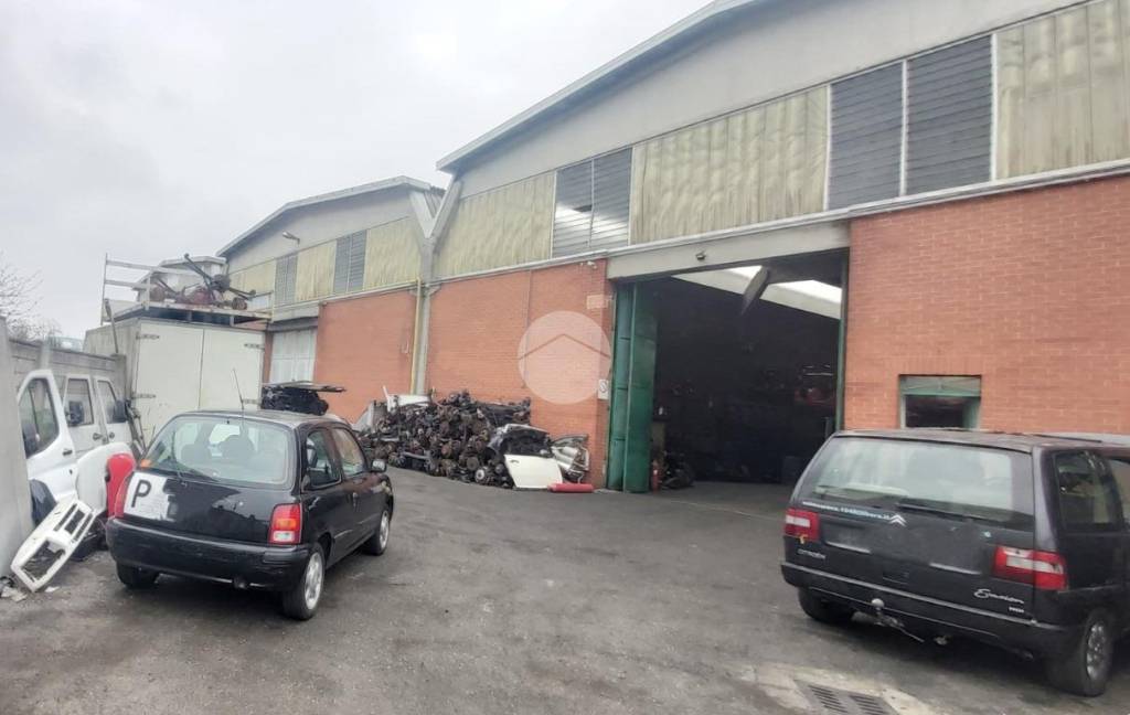 immagine annuncio 5 di 15