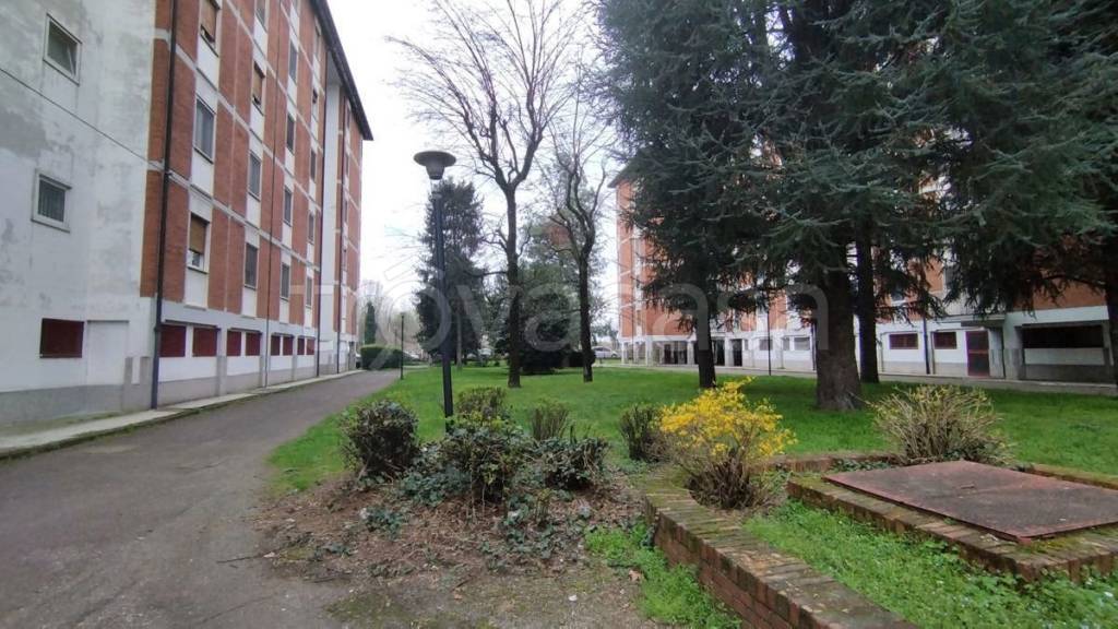 immagine annuncio 12 di 13
