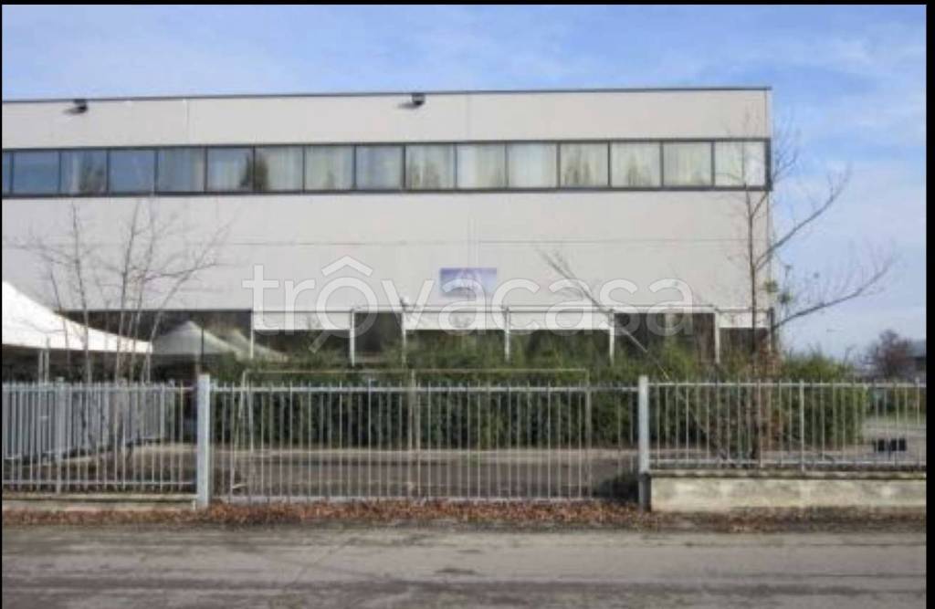 immagine annuncio 3 di 11