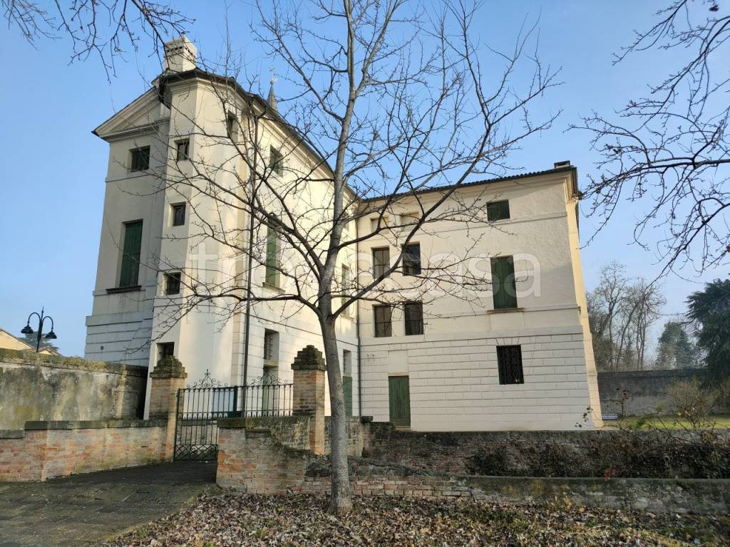 Villa in vendita a Due Carrare via Roma