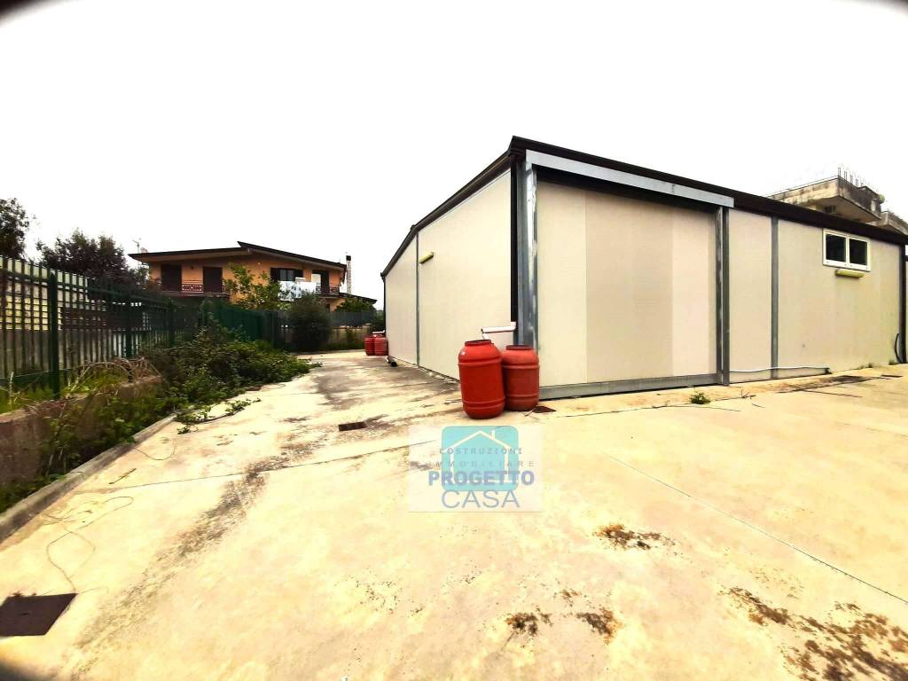 immagine annuncio 2 di 14