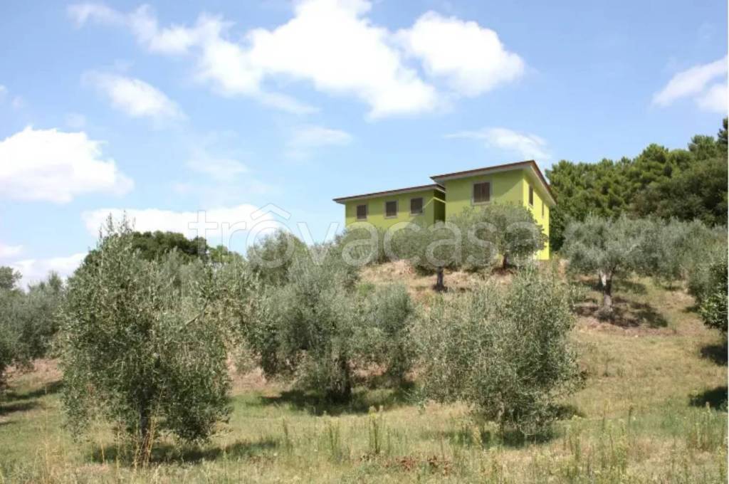 immagine annuncio 5 di 7