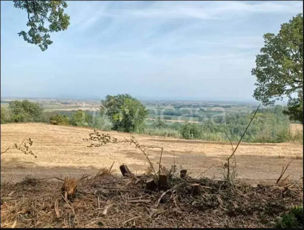 immagine annuncio 3 di 6