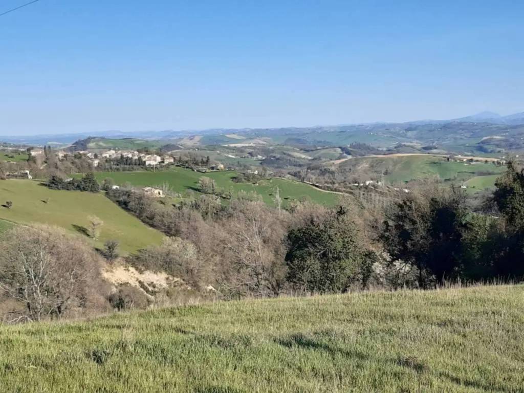 immagine annuncio 4 di 7