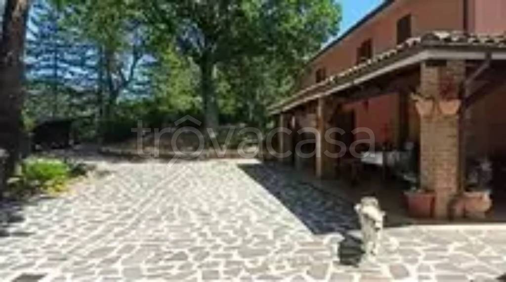 immagine annuncio 3 di 6