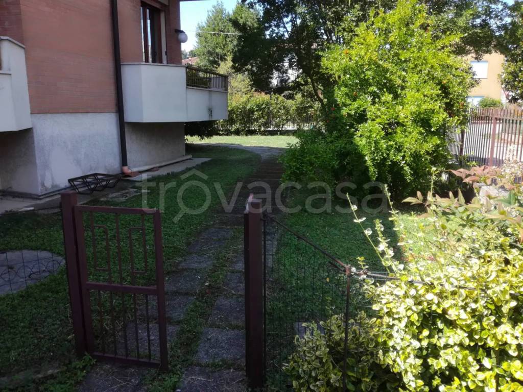 immagine annuncio 6 di 11