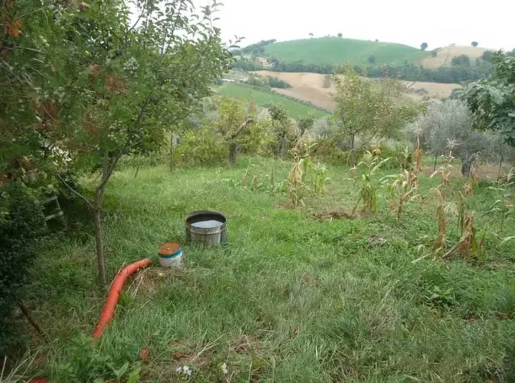 immagine annuncio 5 di 6