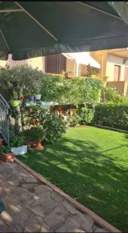 immagine annuncio 5 di 6