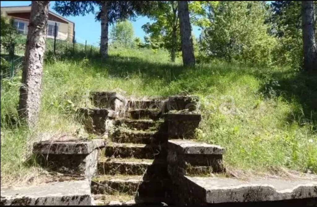 immagine annuncio 5 di 6