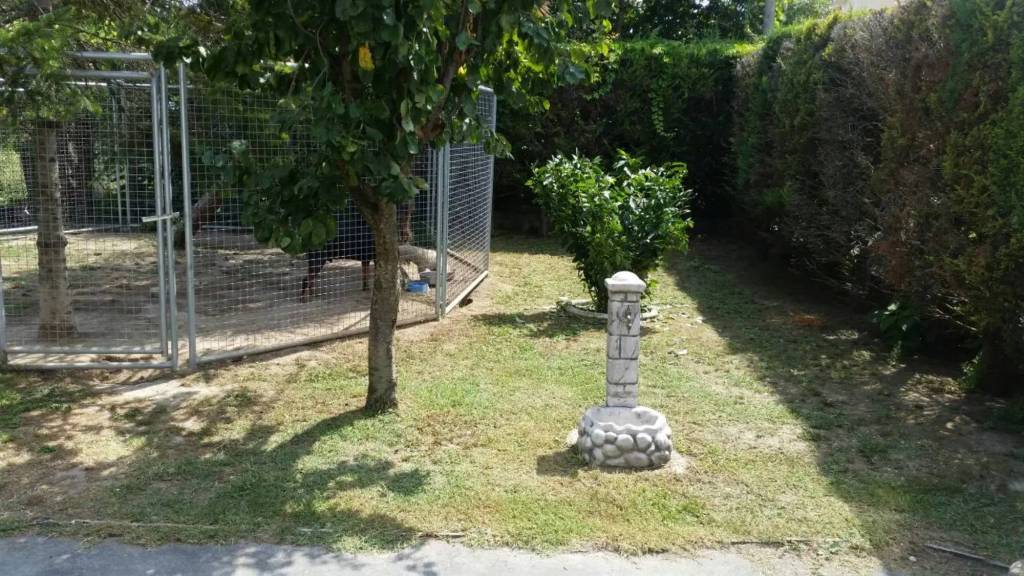 immagine annuncio 2 di 13