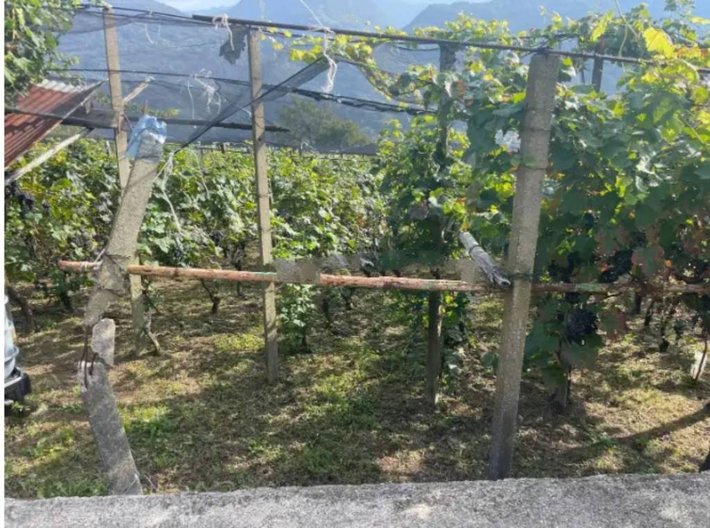immagine annuncio 9 di 13