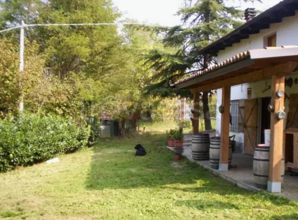 immagine annuncio 10 di 12