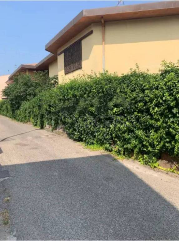 immagine annuncio 4 di 12