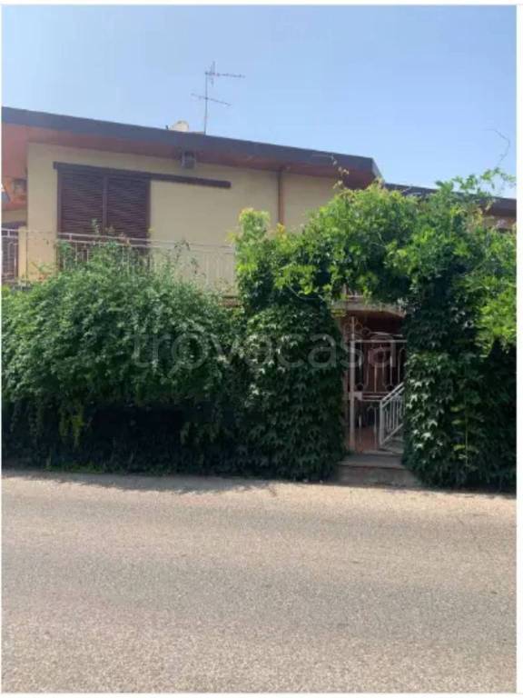 immagine annuncio 7 di 12