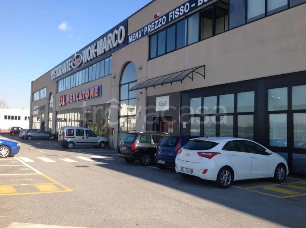 immagine annuncio 6 di 11