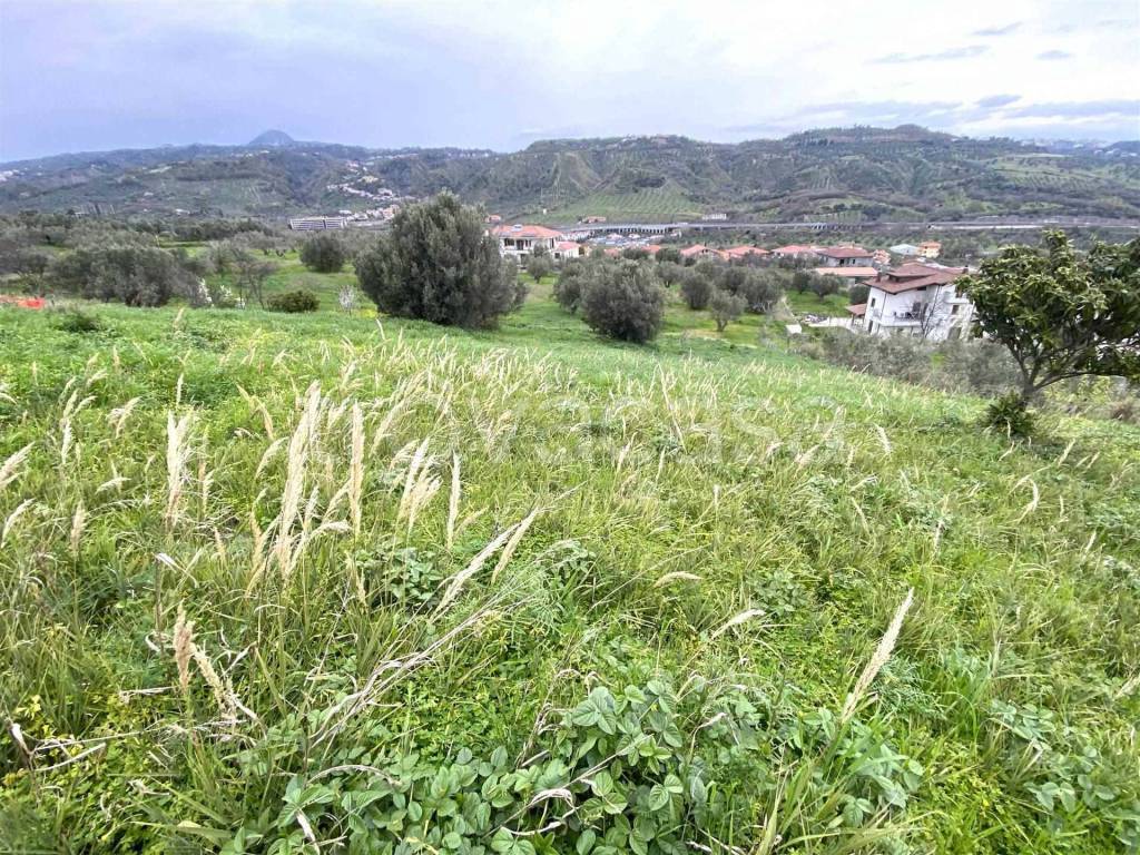 immagine annuncio 4 di 7