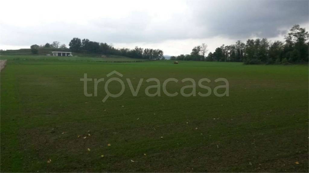 immagine annuncio 6 di 8