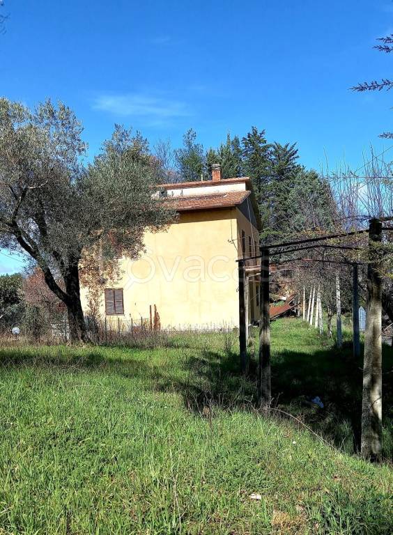 immagine annuncio 2 di 6