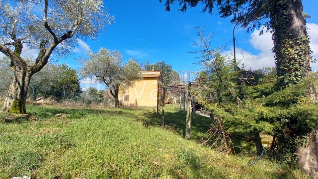 immagine annuncio 3 di 6