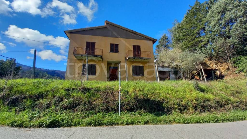 immagine annuncio 4 di 6