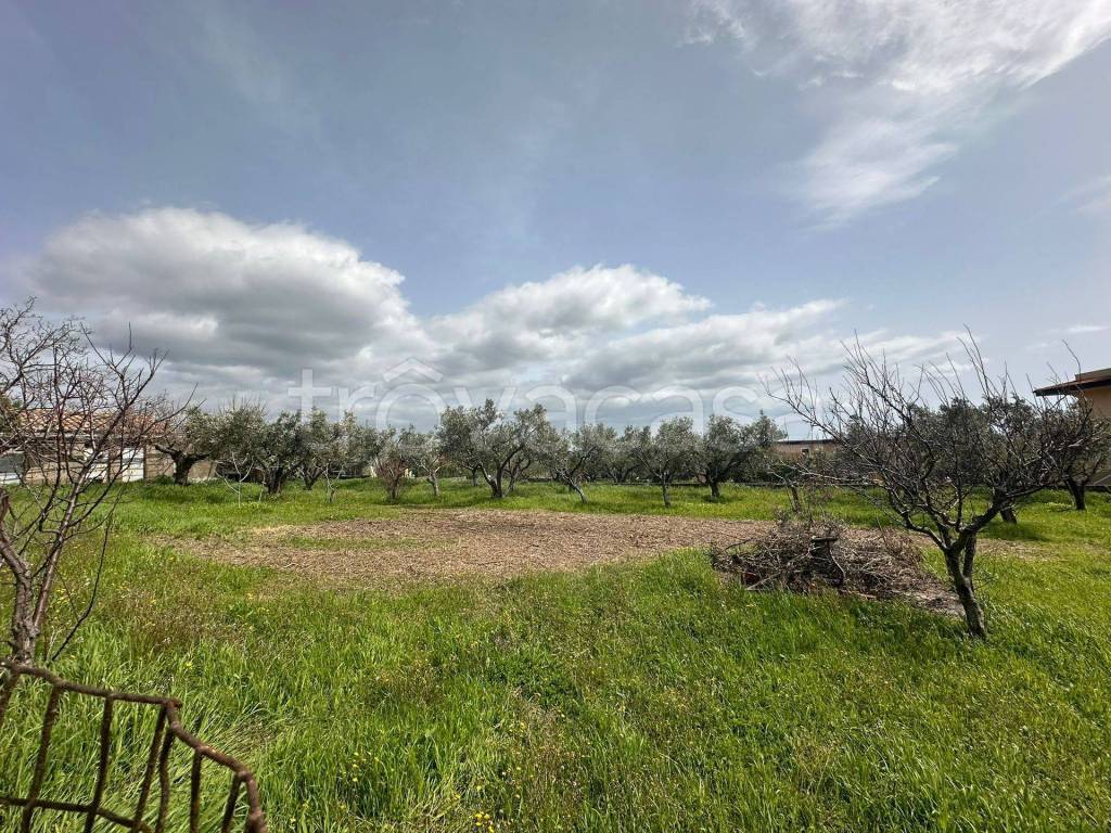 Terreno Residenziale in vendita a Catanzaro via Passo dell'Agrifoglio, 88100 Siano cz, Italia
