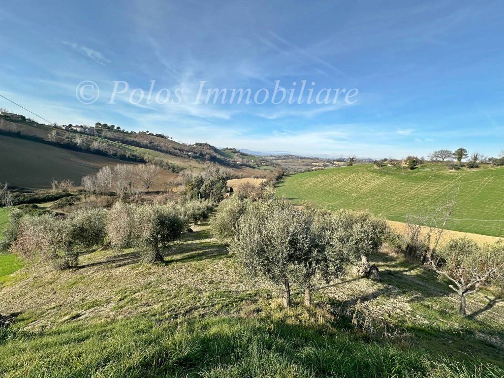 immagine annuncio 1 di 6