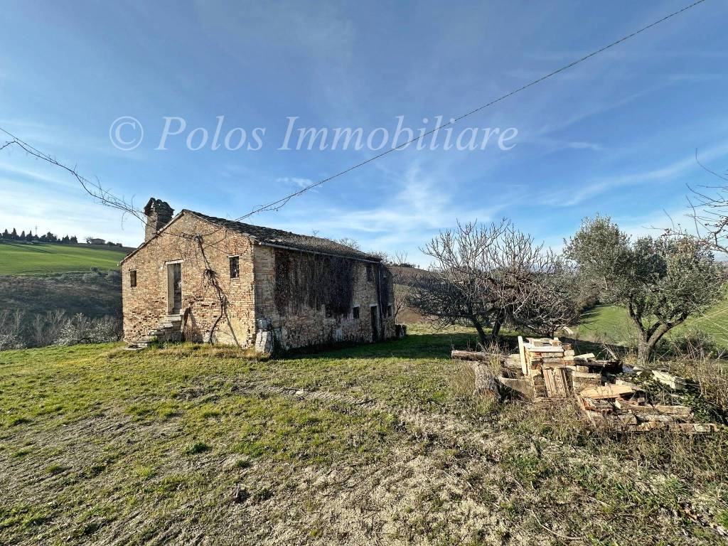 immagine annuncio 2 di 6