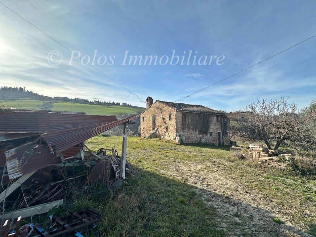 immagine annuncio 3 di 6