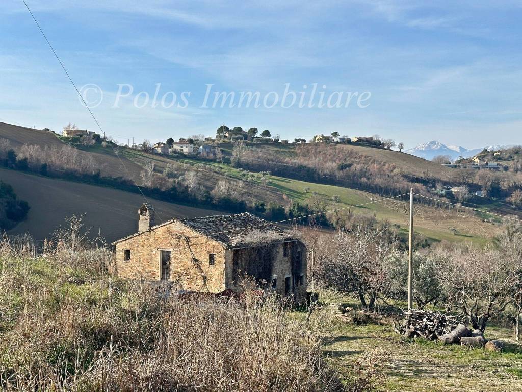 immagine annuncio 4 di 6