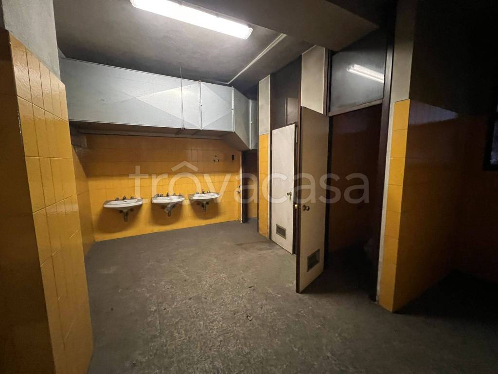 immagine annuncio 11 di 14