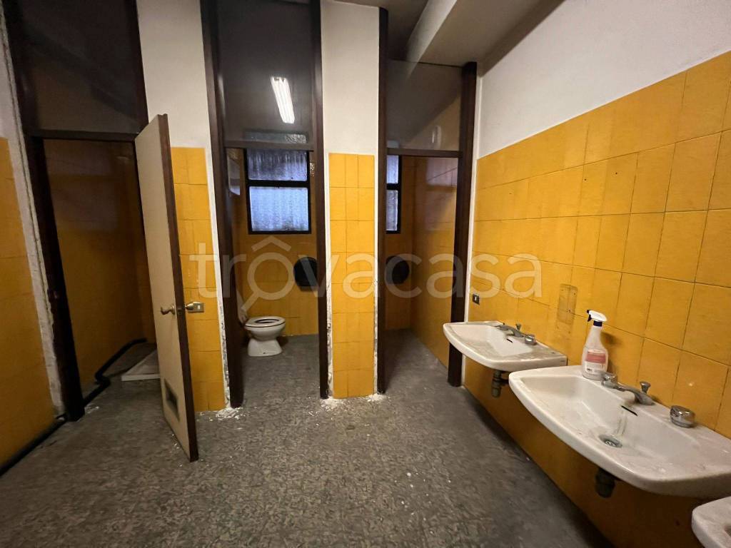 immagine annuncio 12 di 14