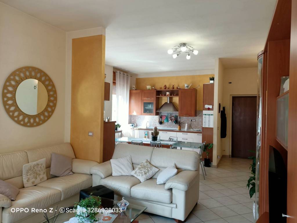 immagine annuncio 9 di 15