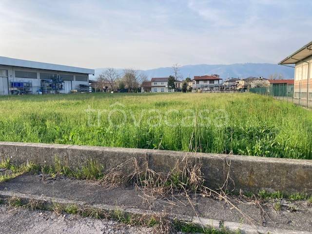 immagine annuncio 3 di 6
