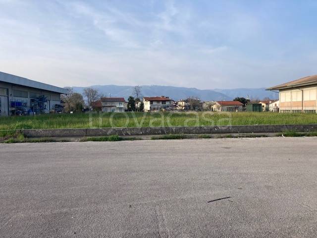 immagine annuncio 5 di 6