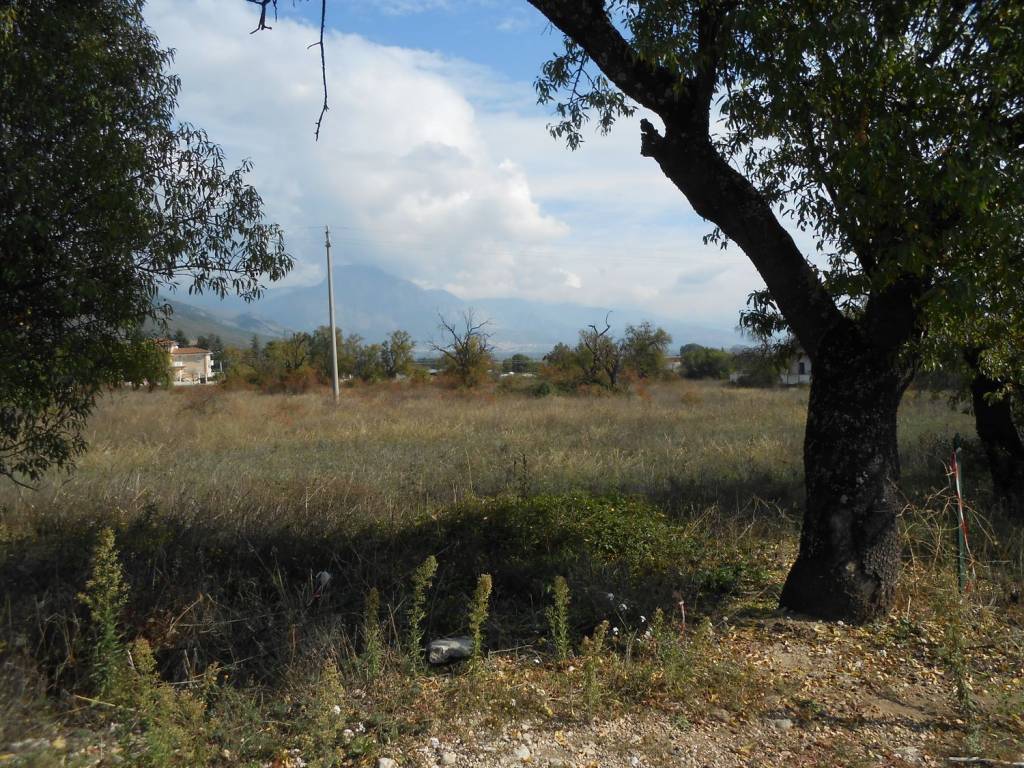 immagine annuncio 3 di 12