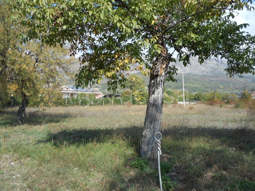 immagine annuncio 10 di 12