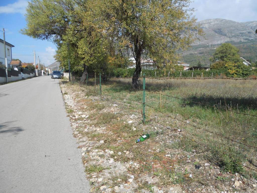 immagine annuncio 11 di 12