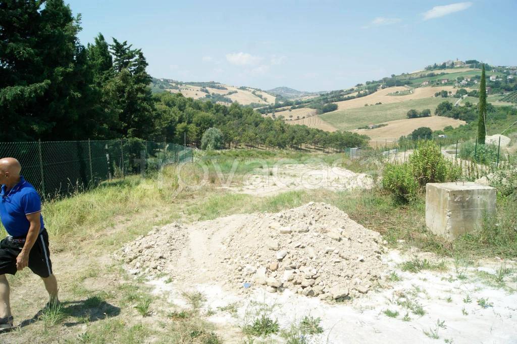 immagine annuncio 5 di 11