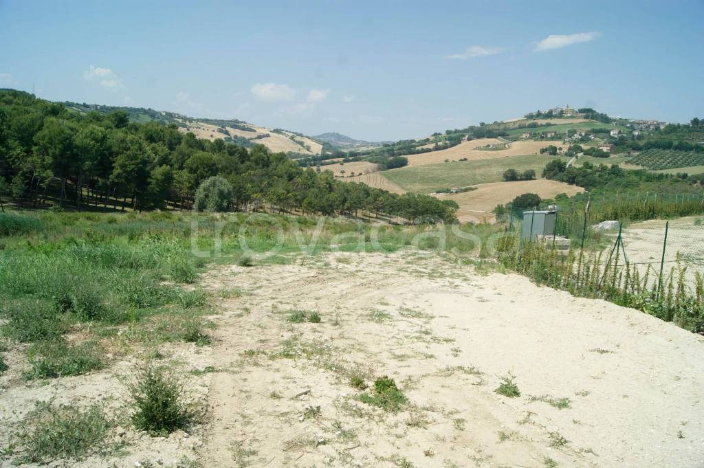 immagine annuncio 8 di 11