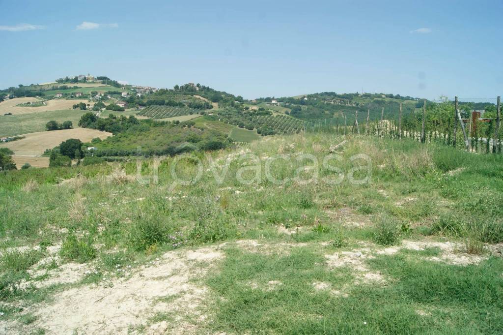 immagine annuncio 10 di 11