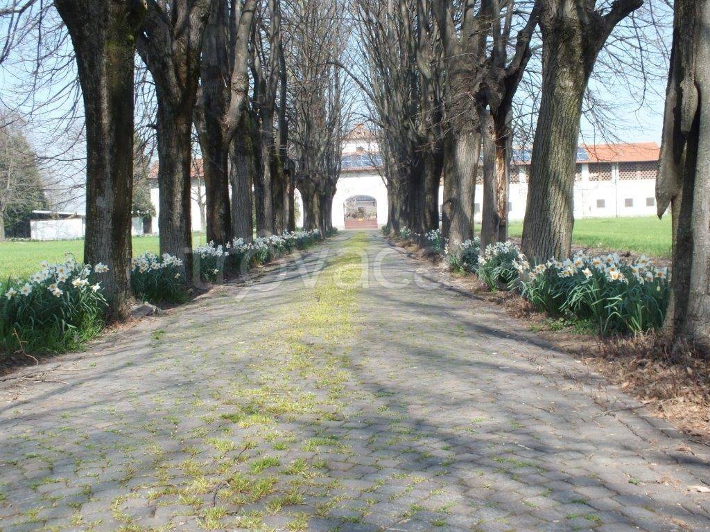 immagine annuncio 4 di 13