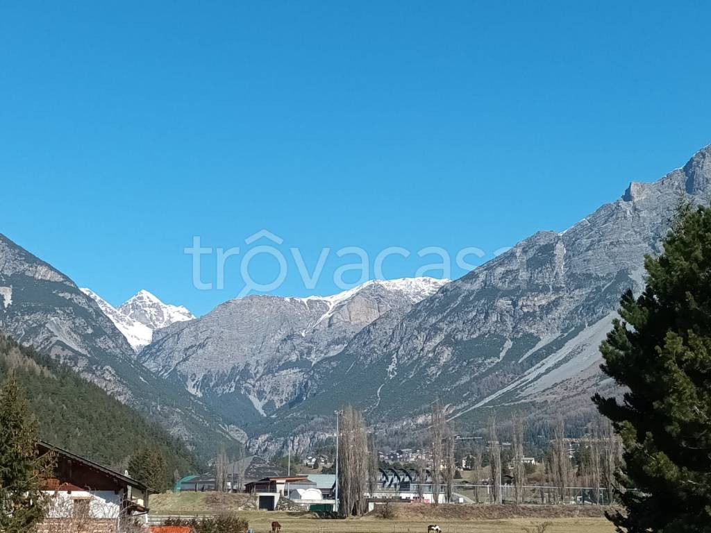 immagine annuncio 2 di 7
