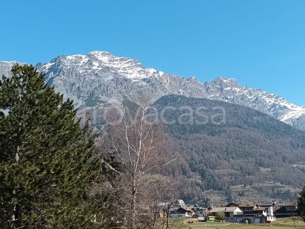 immagine annuncio 3 di 7