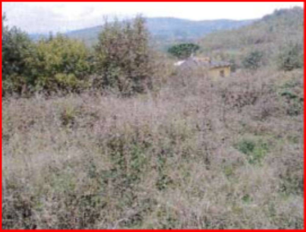 Terreno Residenziale in vendita a Ortignano Raggiolo via di Vanna