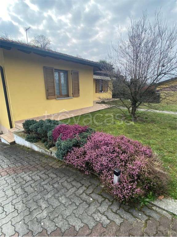 immagine annuncio 9 di 15
