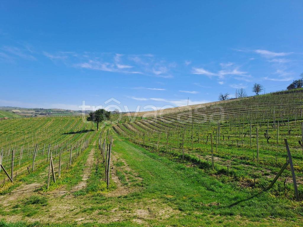 Terreno Agricolo in vendita a Calamandrana frazione Valle San Giovanni, 1