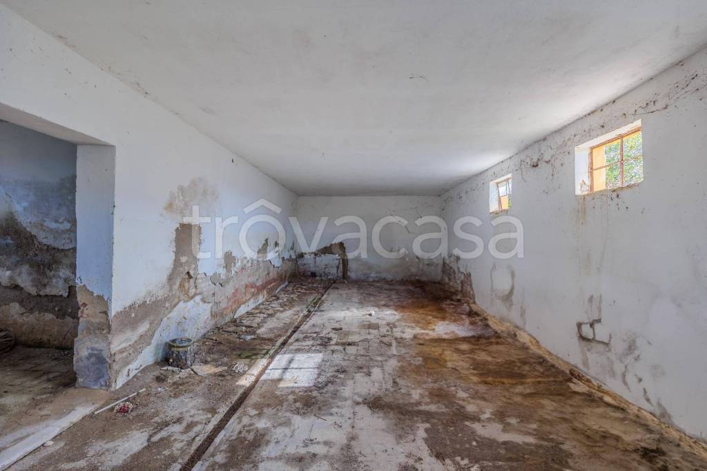 immagine annuncio 11 di 14