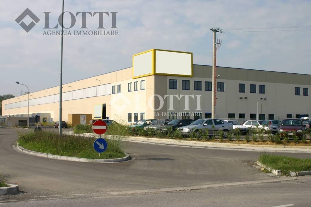 immagine annuncio 1 di 8